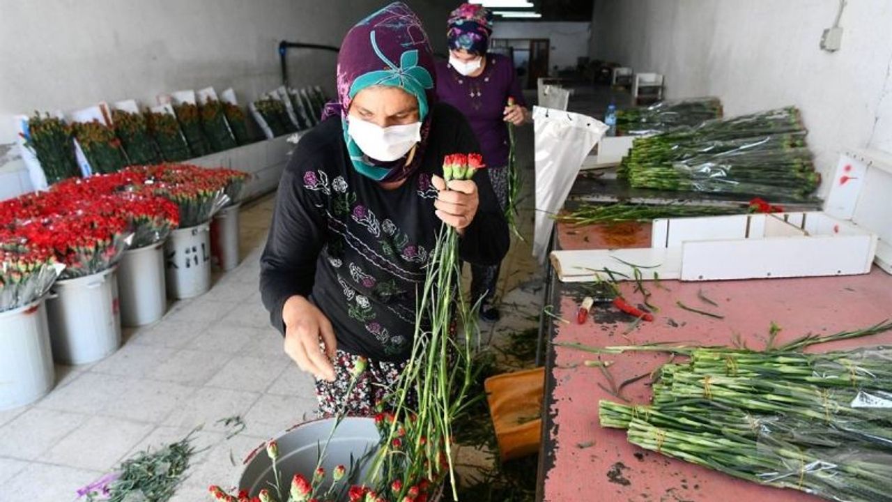 25 Yıl Önce Dikildi, Isparta’yı  Türkiye’de Söz Sahibi Yaptı