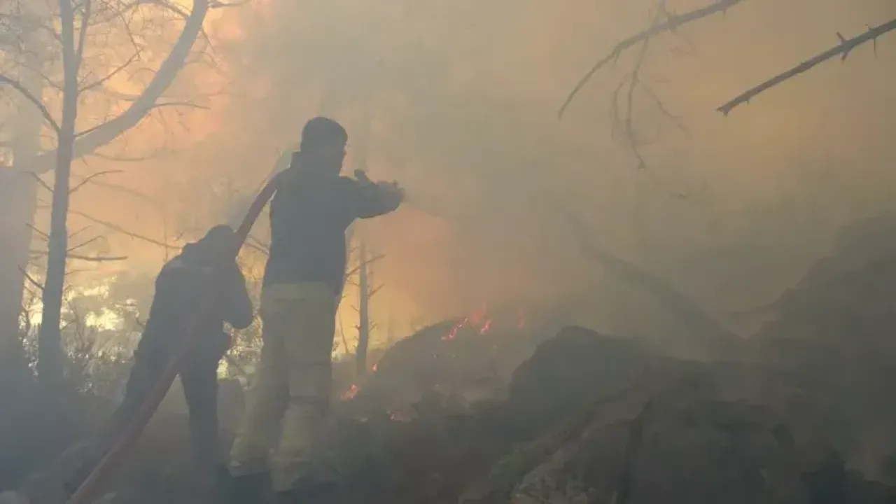 Antalya'da kopan yüksek gerilim hattı orman yangınına neden oldu