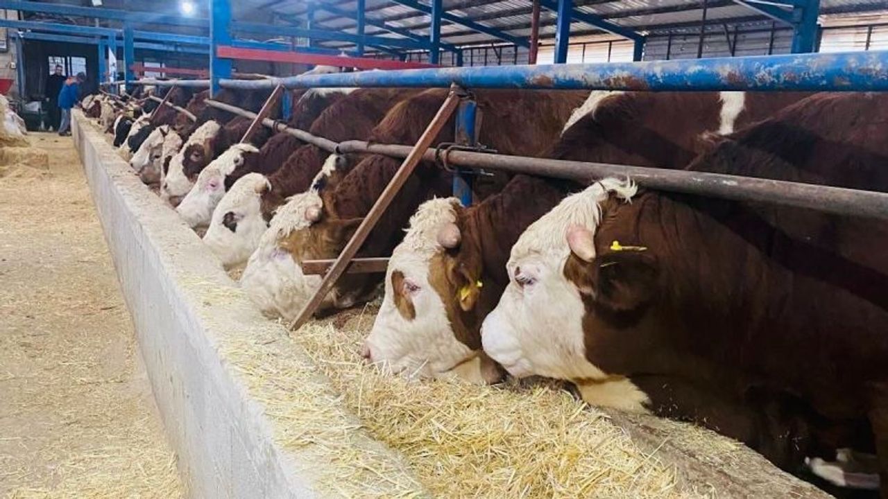 Isparta'da Bu Bir İlk! Kurban Bayramına Özel Bir İlki Gerçekleştiriyorlar!