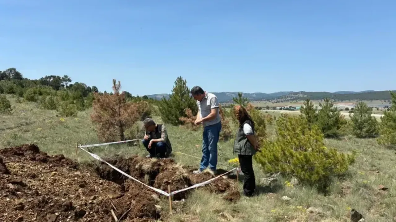 Hedefimiz Sağlıklı Ormanlar Kurmak