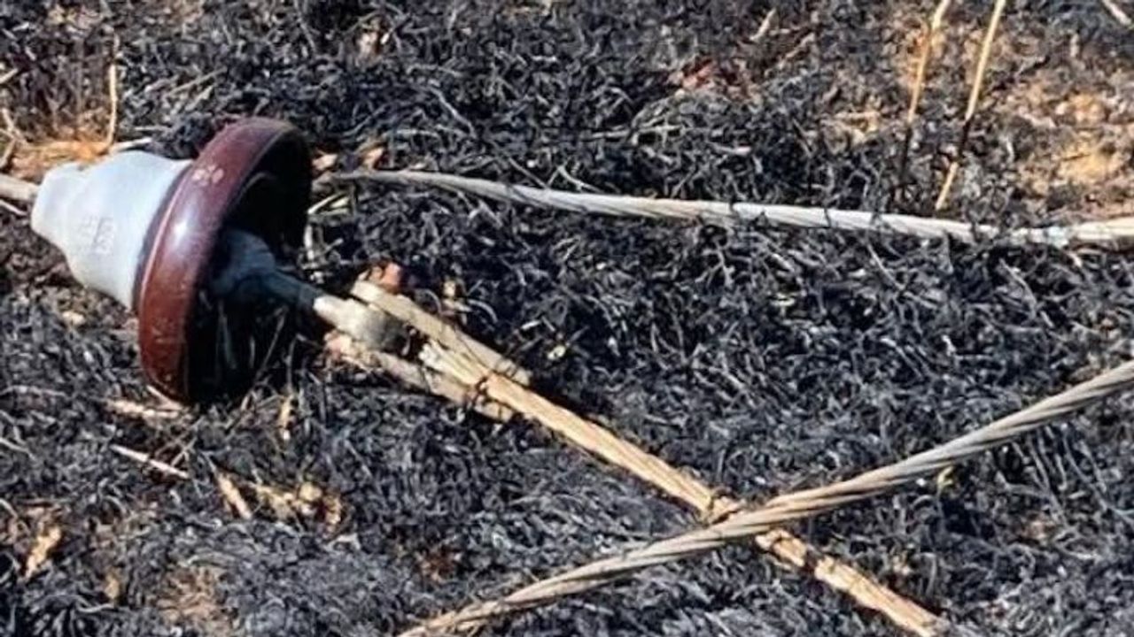 Yüksek gerilim hattı koptu, buğday tarlası alev aldı