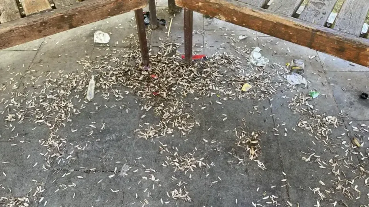 Yeşil alanlar ve oyun parkları hepimizin ortak sorumluluğudur