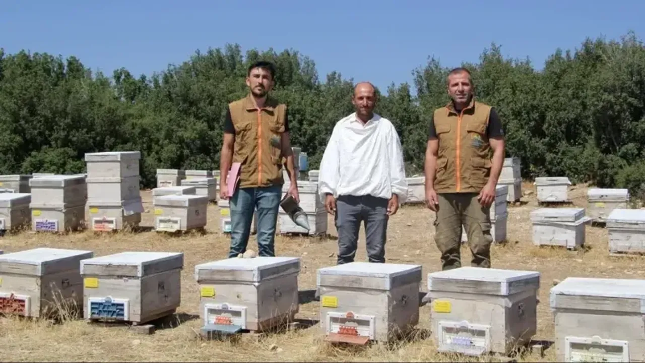 Isparta’da yıllık bal üretimi 256 tonu aştı