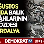 AĞUSTOS AYINDA BALIK TEZGÂHLARININ GÖZDESİ SARDALYA