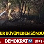 ALEVLER BÜYÜMEDEN SÖNDÜRÜLDÜ