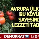 AVRUPA ÜLKELERİ BU KÖYÜN SAYESİNDE LEZZETİ TADIYOR