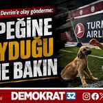 KÖPEĞİNE KOYDUĞU İSME BAKIN