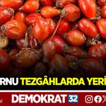 KUŞBURNU TEZGÂHLARDA YERİNİ ALDI