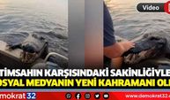Timsahın karşısındaki sakinliğiyle sosyal medyanın yeni kahramanı oldu