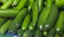Doktorlar salatalık tüketmenin neden olduğunu açıkladı