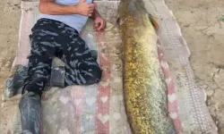 Yalvaç Sücüllü Barajında 42 Kiloluk Yayın Balığı Yakalandı