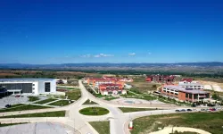 Kastamonu Üniversitesi, yanan ormanlar için peyzaj onarım önerileri geliştirecek