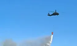 Diyarbakır'ın Silvan İlçesindeki orman yangını etkili müdahale ile söndürüldü