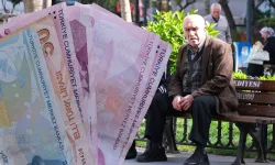 Emekli ve memura seyyanen zam açıklaması: SGK uzmanı İsa Karakaş refah payını da anlattı