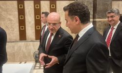 Mehmet Şimşek ve Ali Babacan'ın ne konuştuğu ortaya çıktı! Yedi konu başlığı