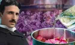 Tesla’nın “şifa” dediği gülün sırrı Isparta’da ortaya çıktı!