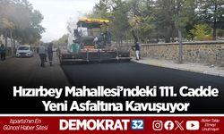 Hızırbey Mahallesi’ndeki 111. Cadde Yeni Asfaltına Kavuşuyor