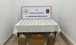 Antalya'da 5 milyon makaron ele geçirildi