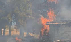 Bucak'ta odunlukta çıkan yangın korkuttu