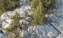 Isparta'da kaçak avcı dron kamerasında