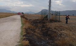 Burdur'da arazi yangını