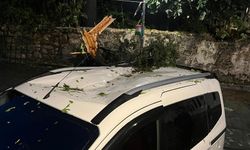 Fırtınanın devirdiği ağaç park halindeki aracın üzerine düştü