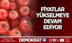 Fiyatlar Yükselmeye Devam Ediyor
