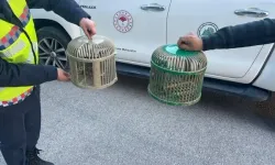 Isparta’da Kaçak avlanan 2 Keklik Ele Geçirildi