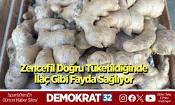 Zencefil Doğru Tüketildiğinde İlaç Gibi Fayda Sağlıyor