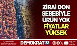 Zirai Don Sebebiyle Ürün Yok, Fiyatlar Yüksek
