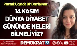 14 KASIM DÜNYA DİYABET GÜNÜNDE NELERİ BİLMELİYİZ?