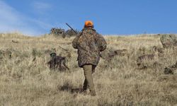 Uluborlu’da yaban domuzu mücadelesi için sürek avı yapılacak