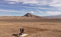 Yüzlerce kuş türüne ev sahipliği yaparken kuraklığa yenik düştü
