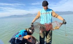 Eğirdir Gölü’nde 300 kaçak kerevit pinteri ele geçirildi