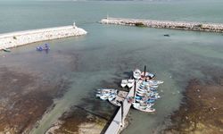 Prof. Dr. Şahin uyardı: "Eğirdir Gölü’nün hızla çekilmesi ilçeyi felakete sürüklüyor"