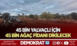 45 Bin Yalvaçlı İçin 45 Bin Ağaç Fidanı Dikilecek