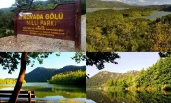 Doğanın Eşsiz Güzelliği Kovada, Yok Olma Eşiğinde