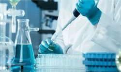 LABORATUVAR HİZMETİ ALINACAKTIR