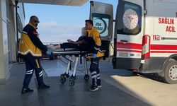 Burdur'da sokak köpekleri küçük kıza dehşeti yaşattı