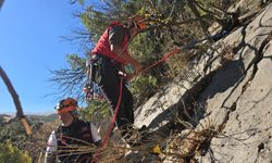 Kaya oyuğuna düşen ve 3 gün mahsur kalan keçi, film gibi operasyonla kurtarıldı