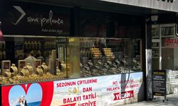 ALTINDA İBRE TERSİNE DÖNDÜ