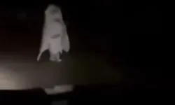 Ana yolda görülen beyaz çarşaflı kadın merak konusu oldu