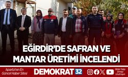 Eğirdir’de Safran ve Mantar Üretimi İncelendi