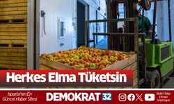 Herkes Elma Tüketsin