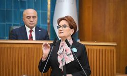 Meral Akşener'in dönüş videosu: Beklenen hamle