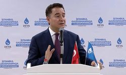 Ali Babacan'a ağır sözler: Öyle şeyler söyledi ki