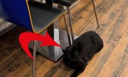 Günün Karesi: Isparta'da Müşteri Şikayetçi Oldu "Sağlık Personeliyim..."