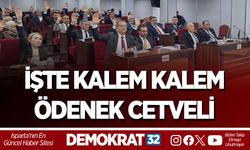 İŞTE KALEM KALEM ÖDENEK CETVELİ