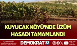 Kuyucak Köyü’nde Üzüm Hasadı Tamamlandı