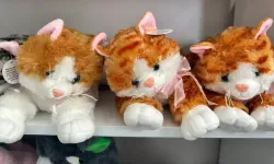 PELÜŞ OYUNCAKLAR GÖRÜNDÜĞÜ KADAR MASUM DEĞİL